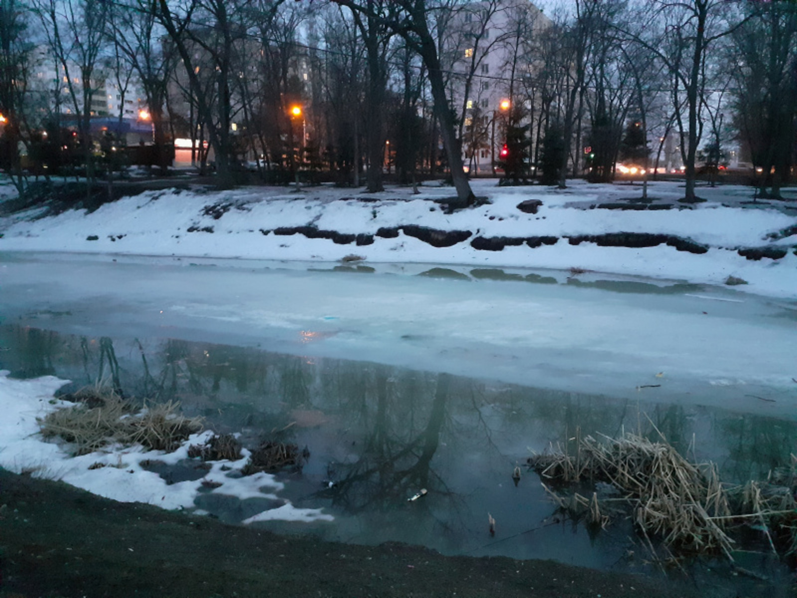 Фото автора.