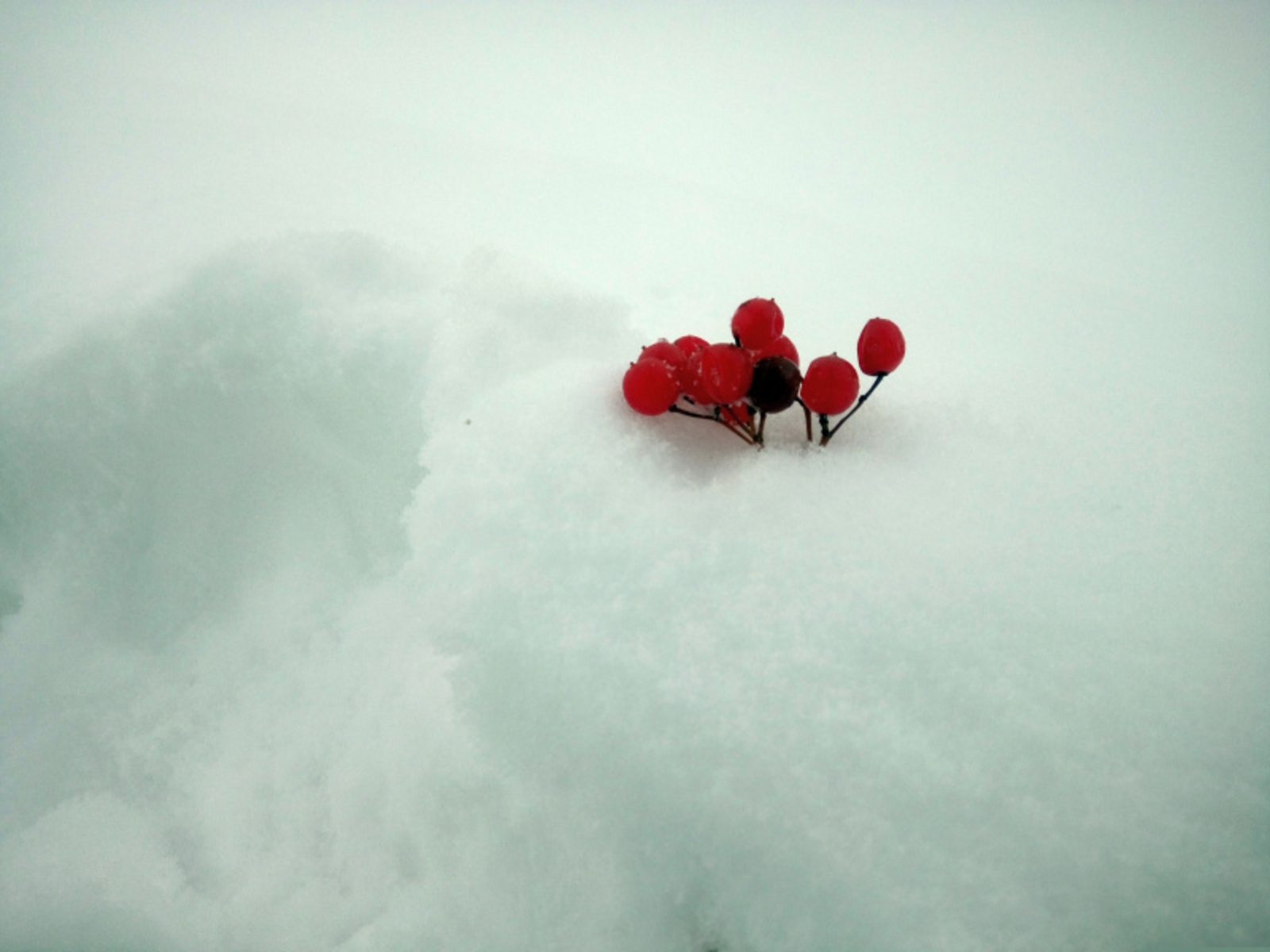 Фото Васили Саитовой.