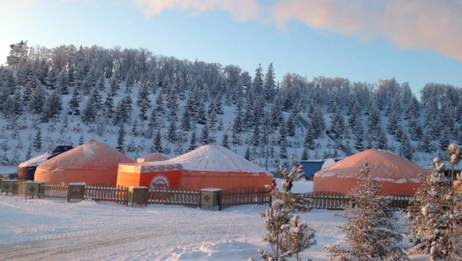 Елены Колоколовой.