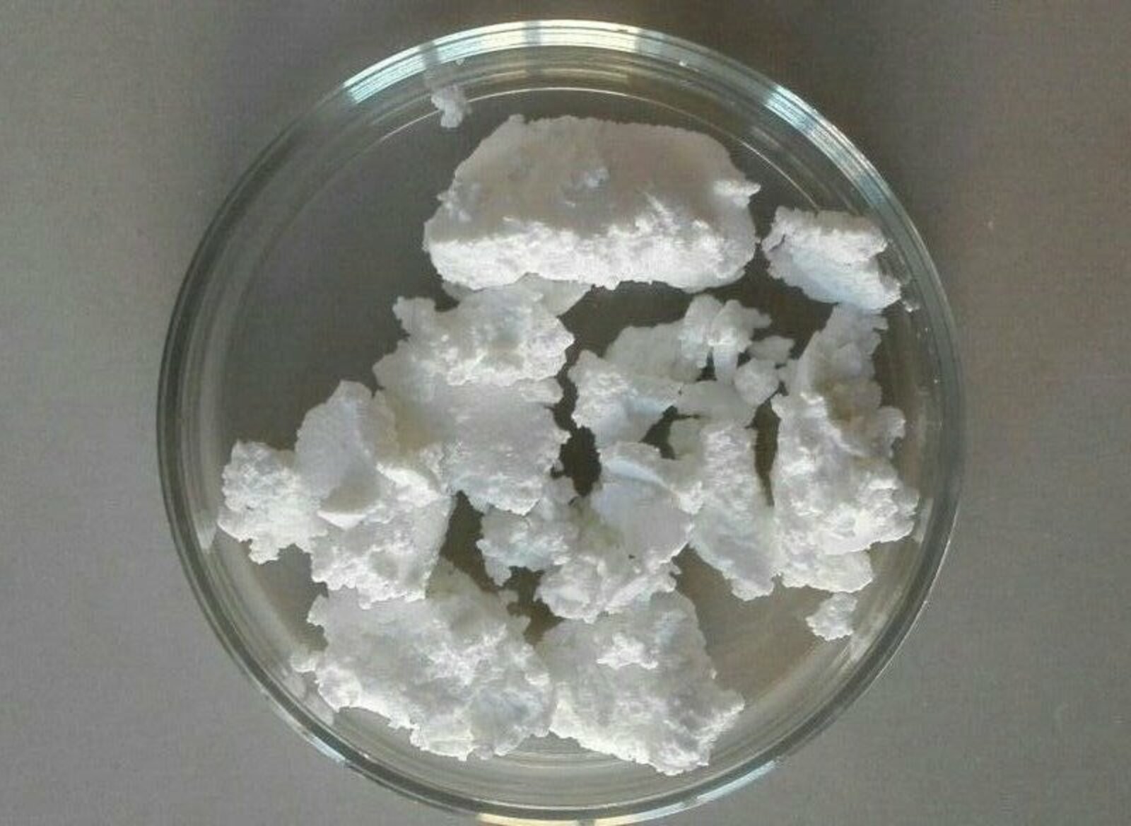 Фото предоставлено Радиком Зайнуллиным.