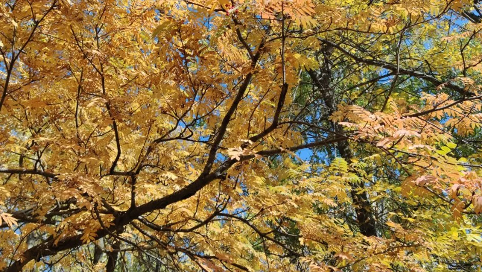 Дарьи Святохиной.