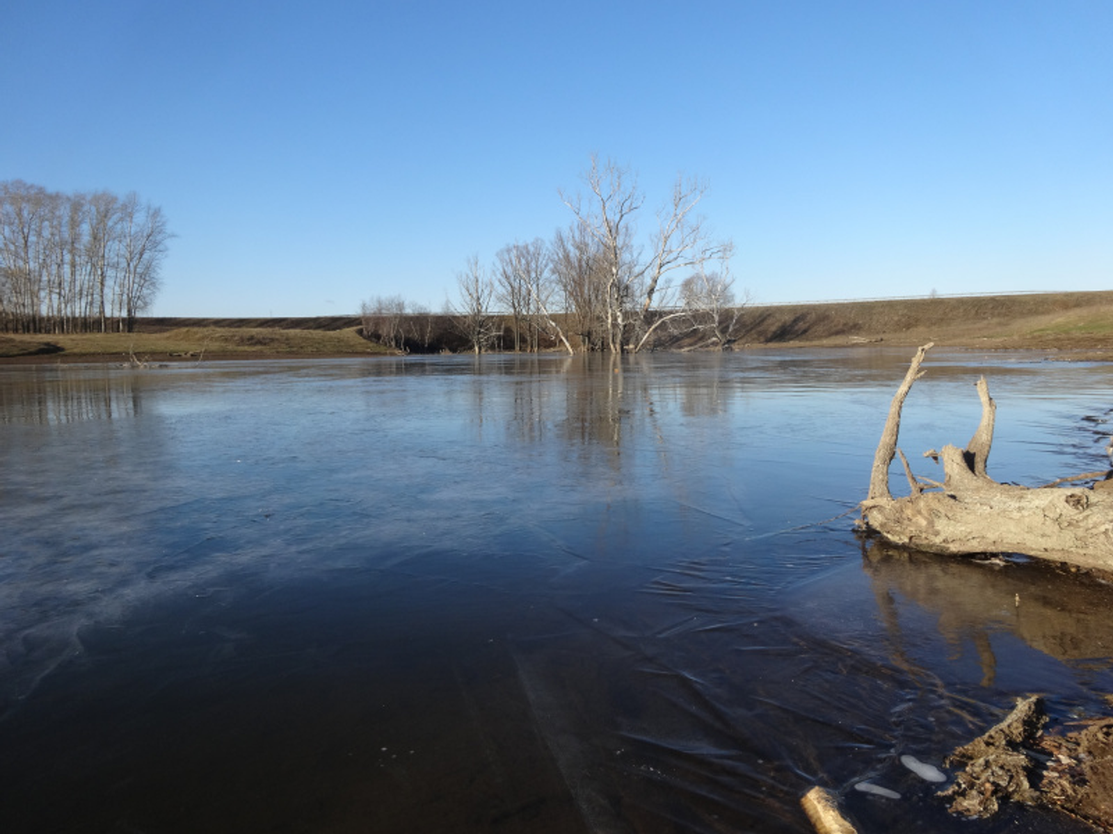 Фото Елены Колоколовой.