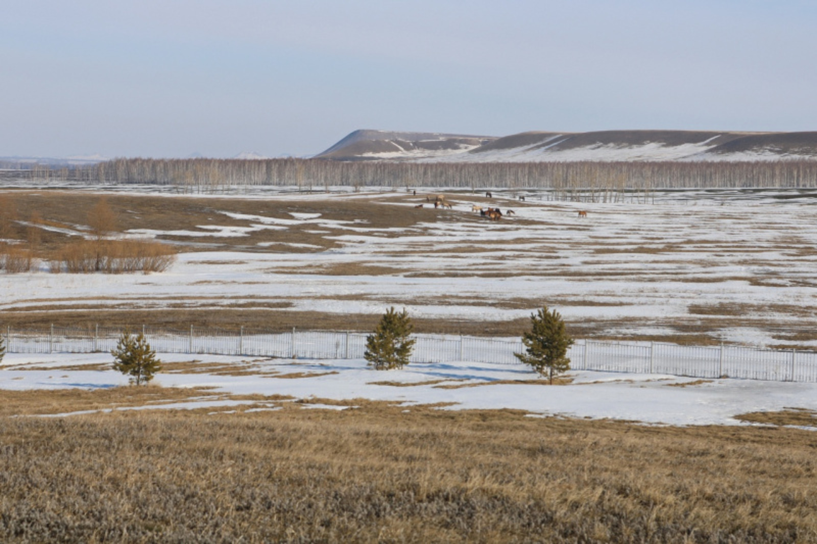 Фото Фарида Гильмиярова.