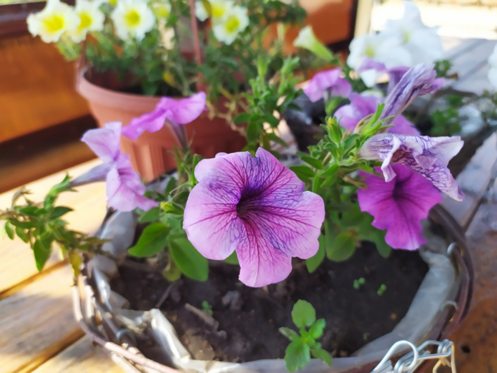 Фото Васили Саитовой.