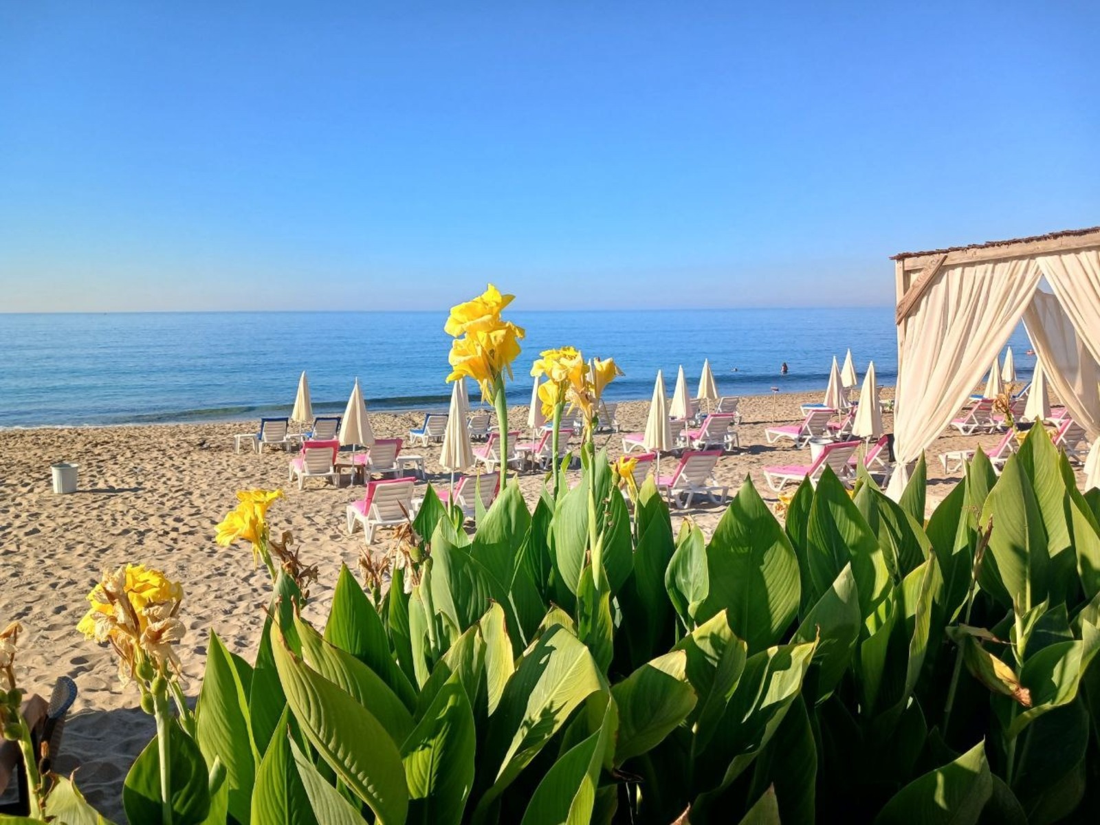 Васили Саитовой. «Общественная электронная газета».