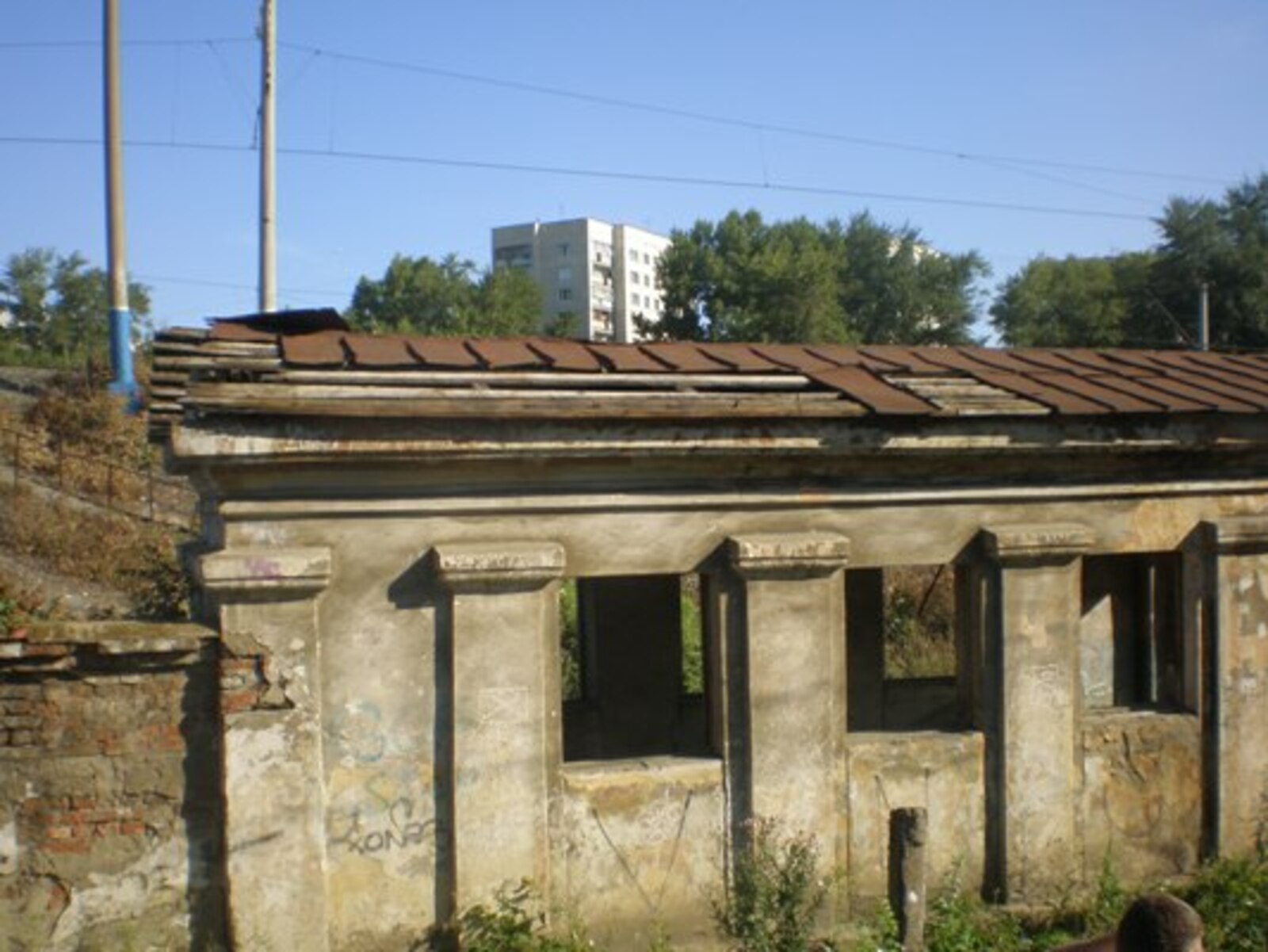 Фото автора.