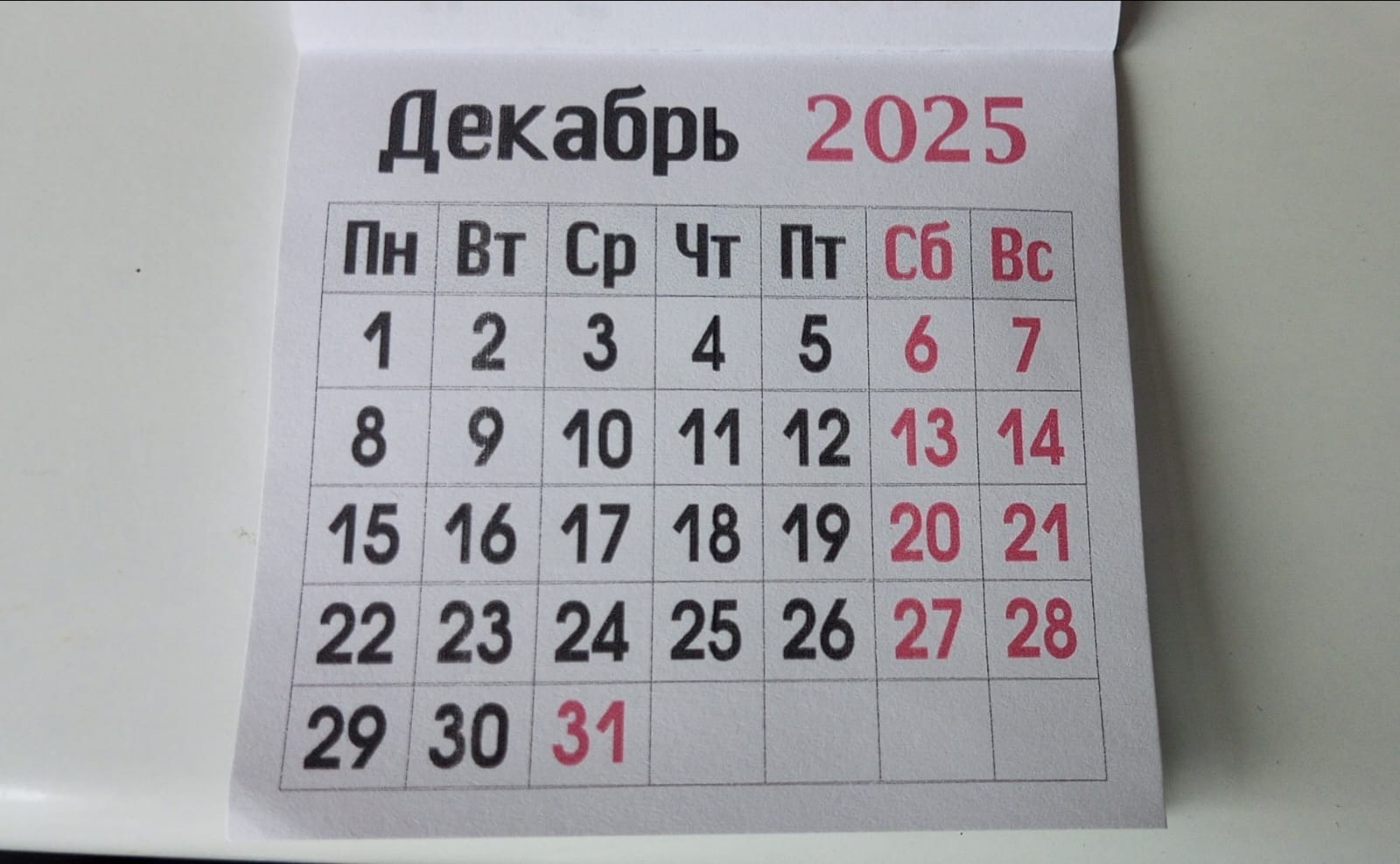 Евгении Сюткиной. "Общественная электронная газета".