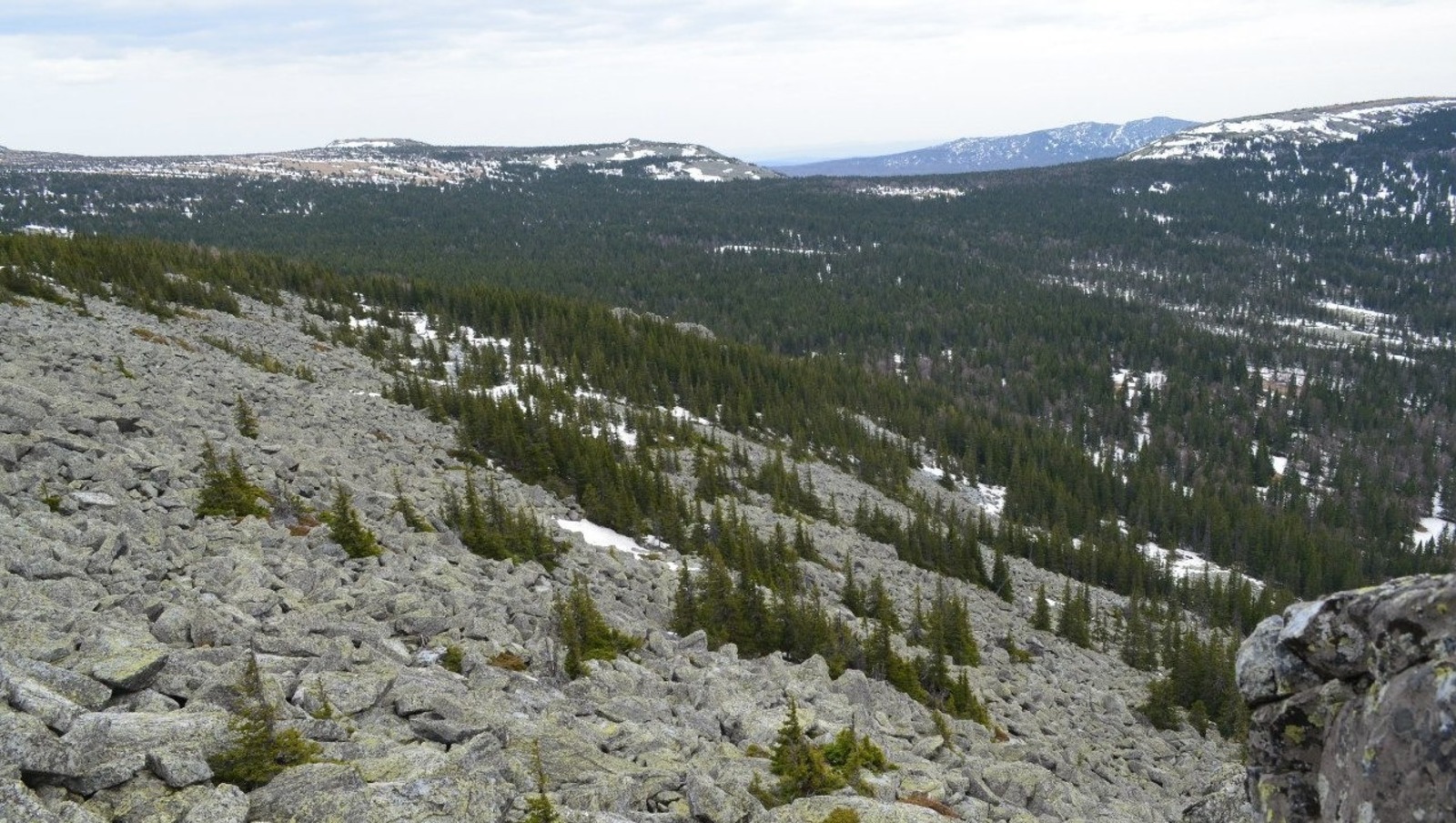 Владимира Шакиева.