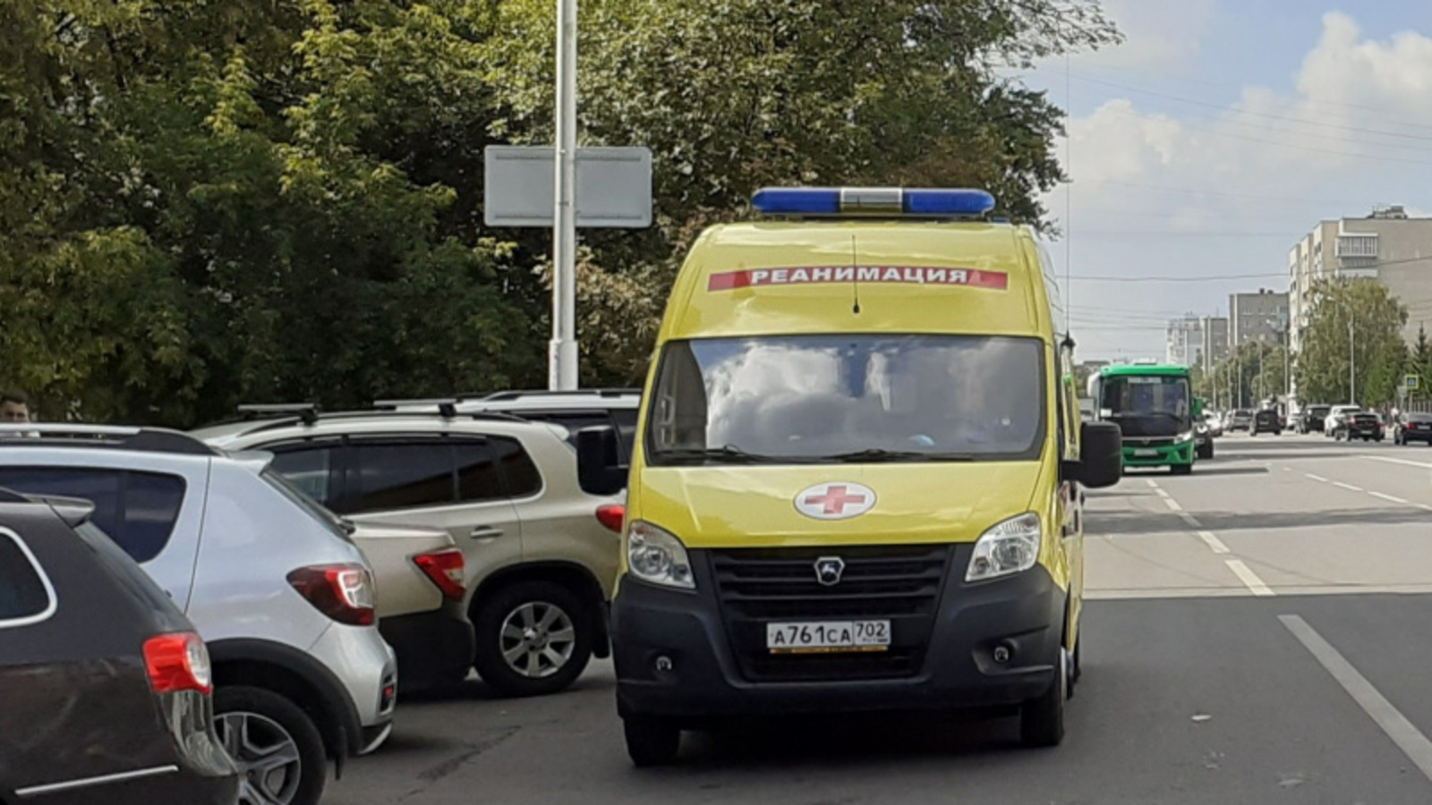 Фото автора.