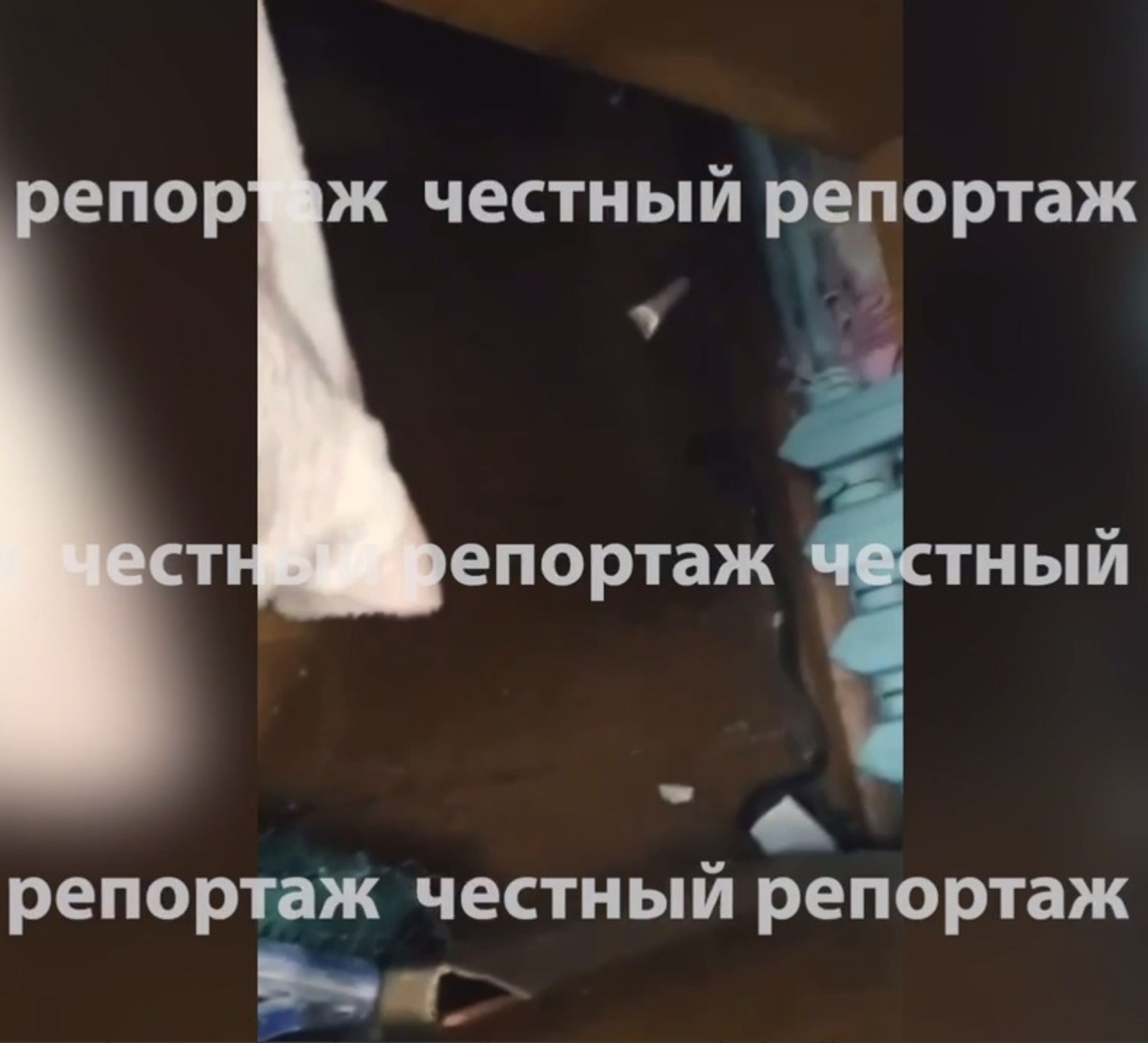 телеграм-канал «Честный репортаж», скриншот видео.