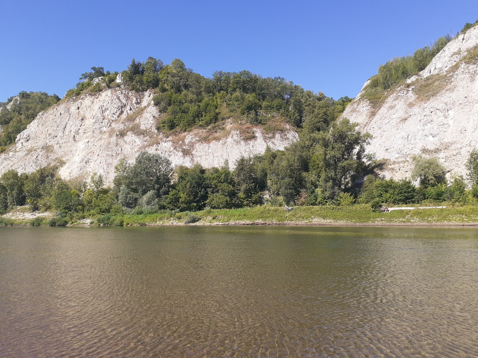 Владимира Шакиева.