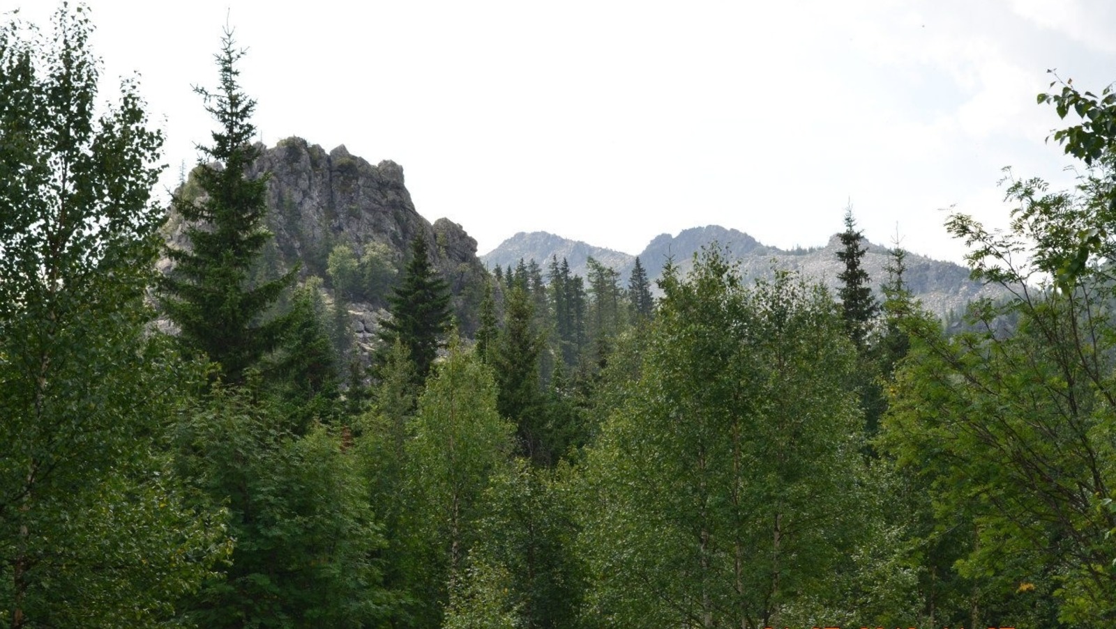 Владимира Шакиева.