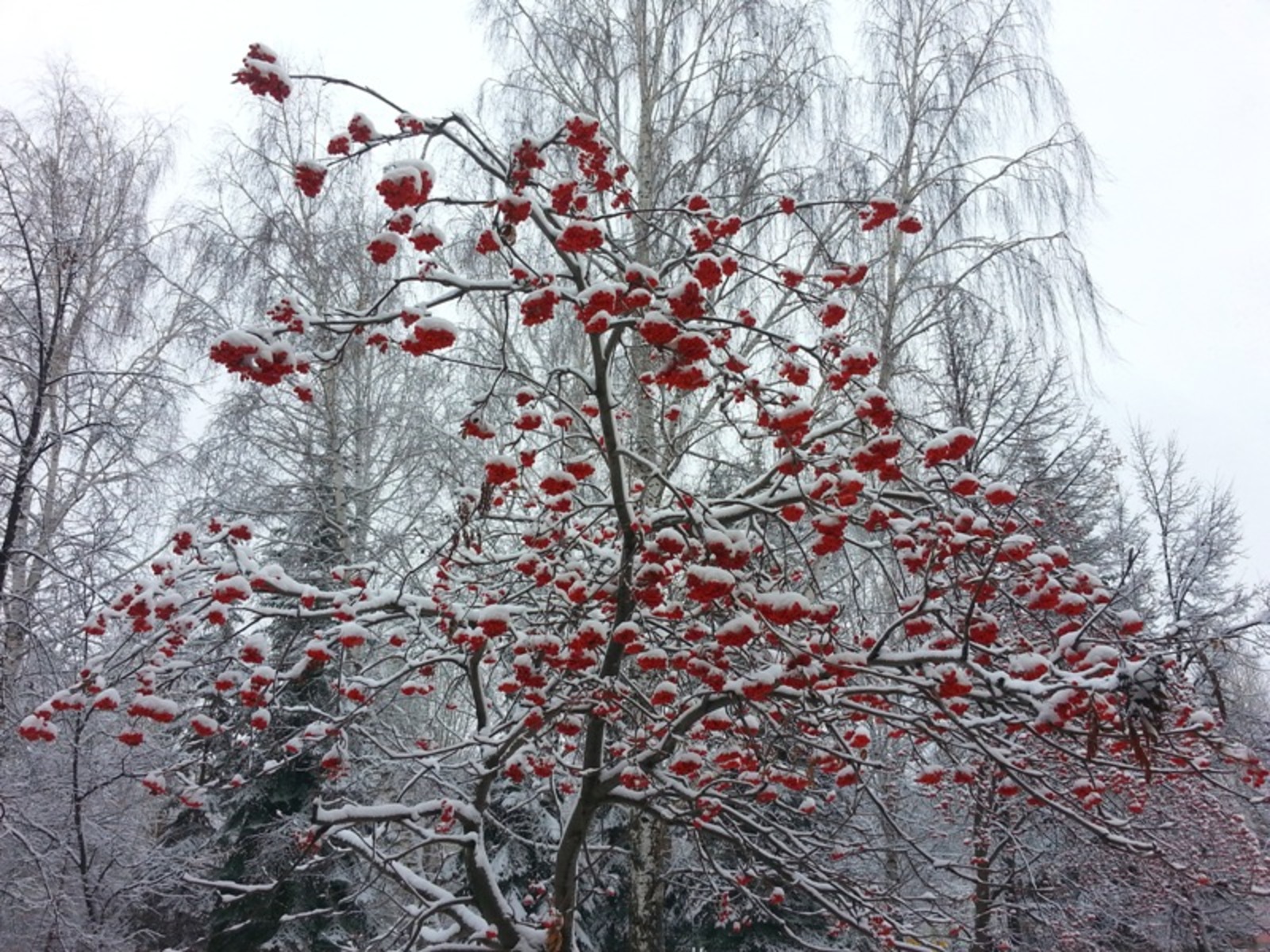 Фото автора.