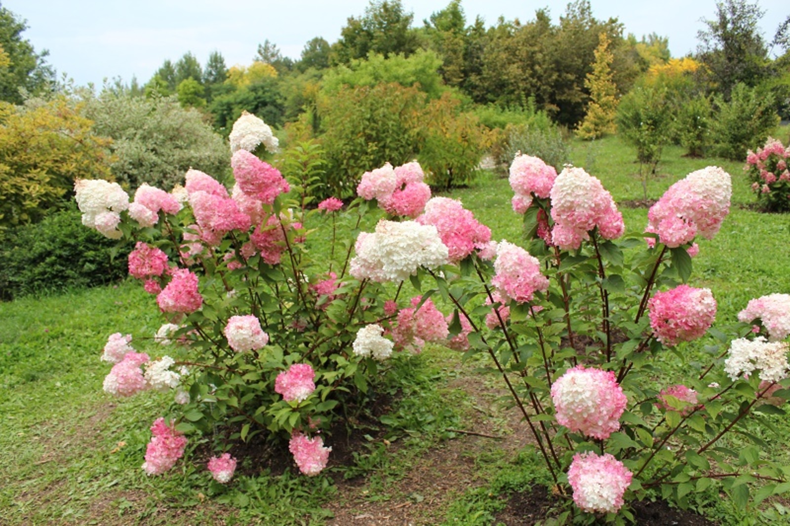 Фото автора.