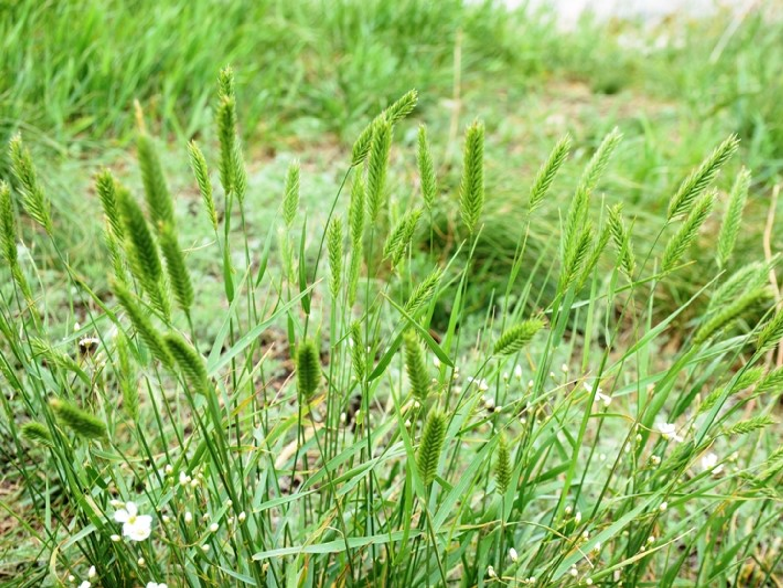 Фото Елены Колоколовой.