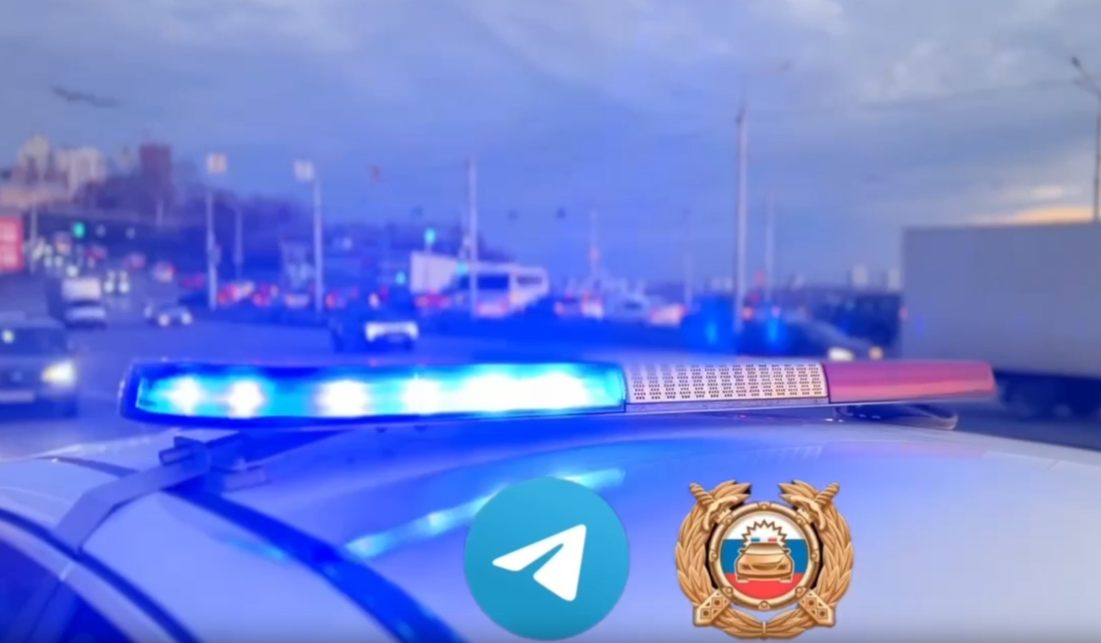 скриншо видео.