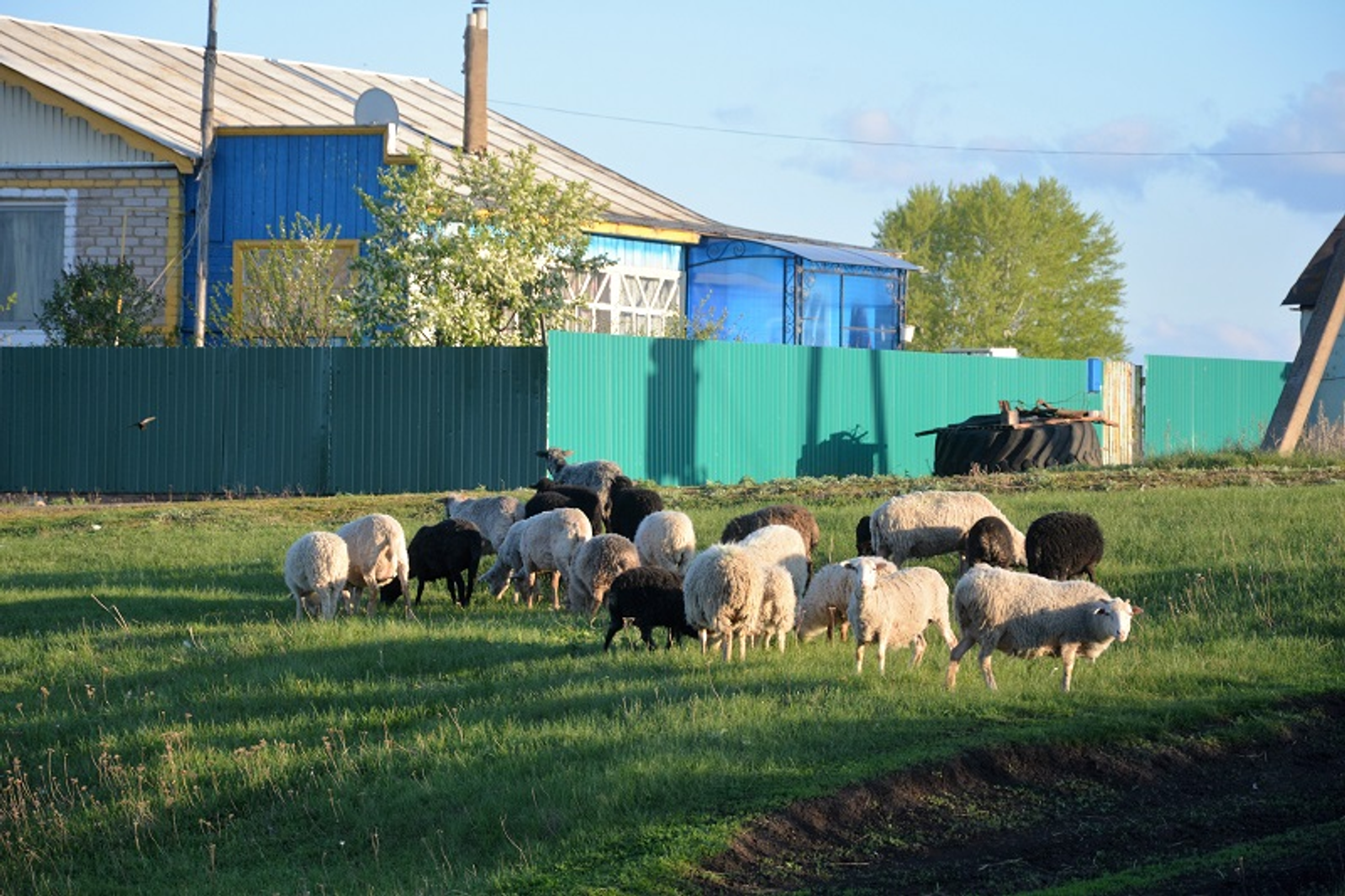 Фото предоставлено автором.