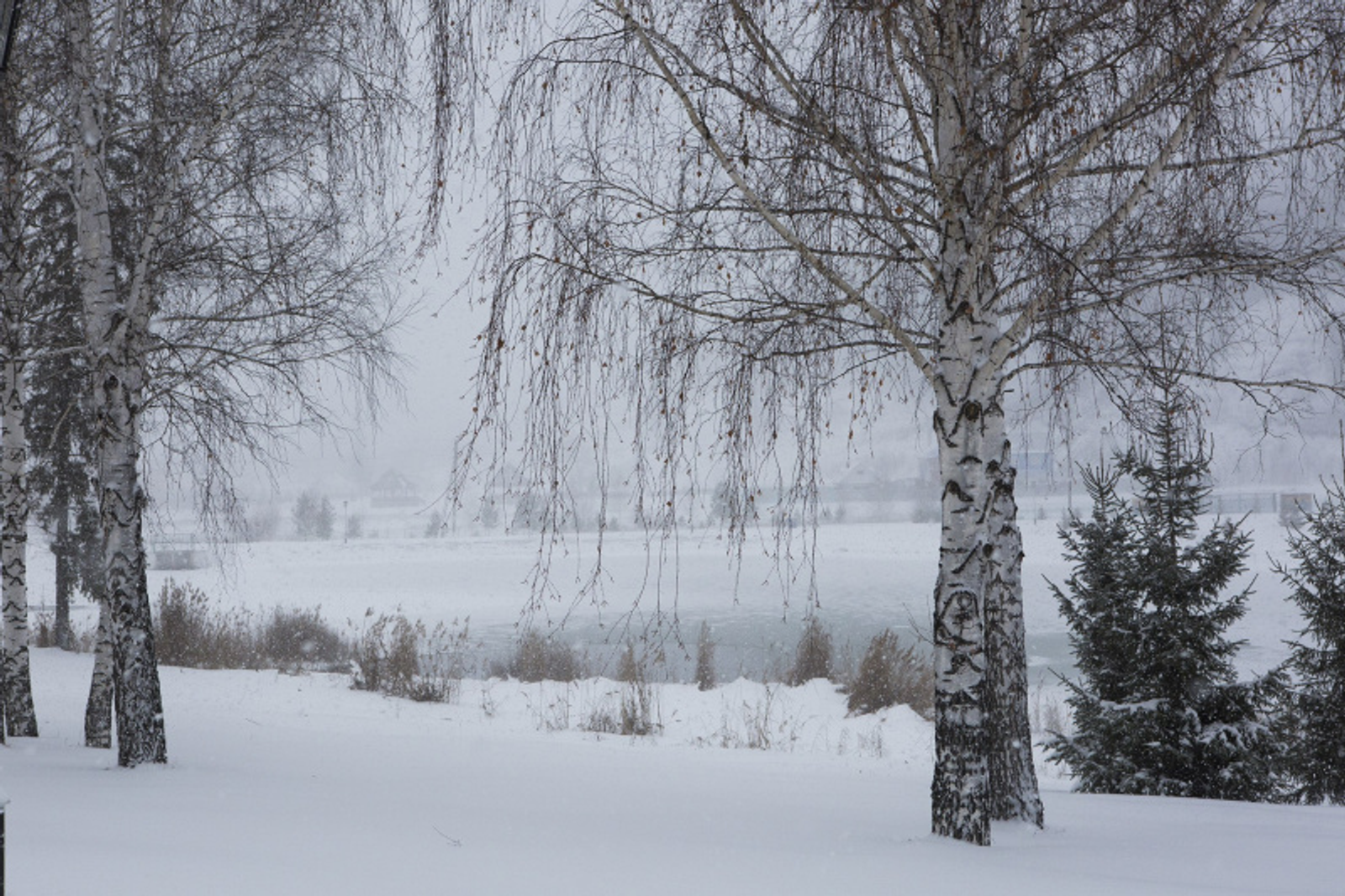 Фото Фаиля Абсатарова.