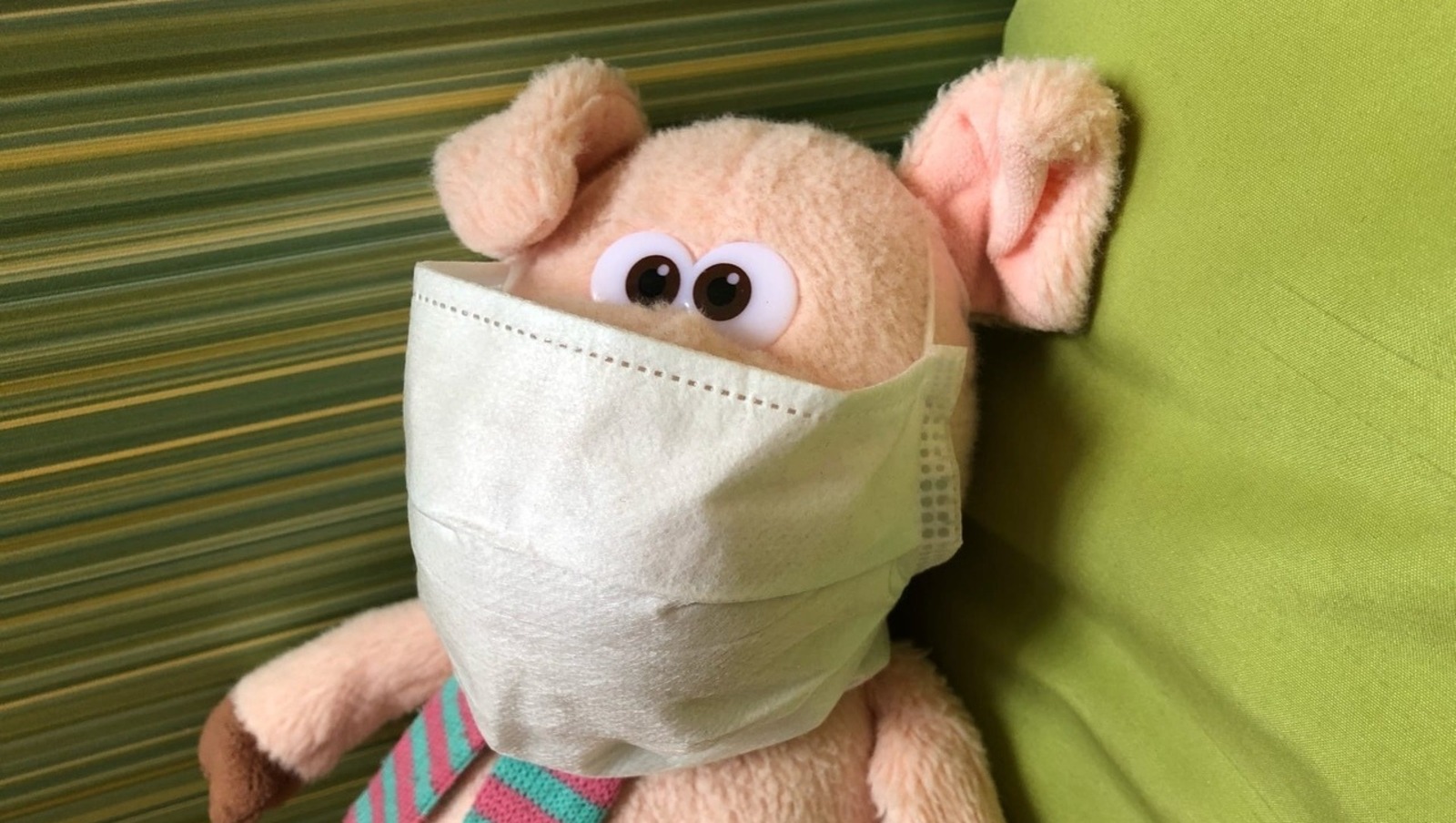 Елены Колоколовой.