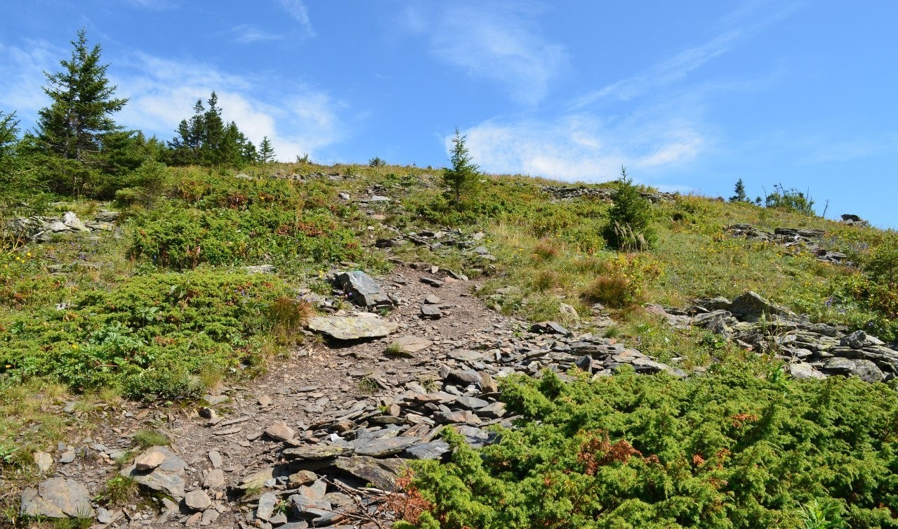 Владимира Шакиева.