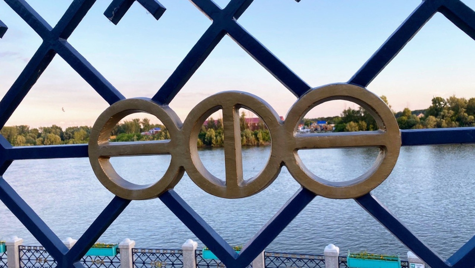 Елены Колоколовой.