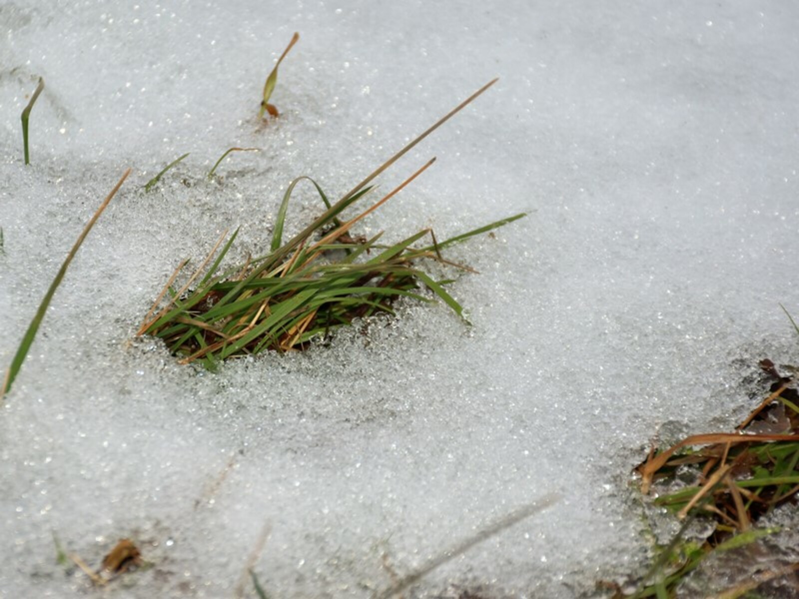 Фото Елены Колоколовой.