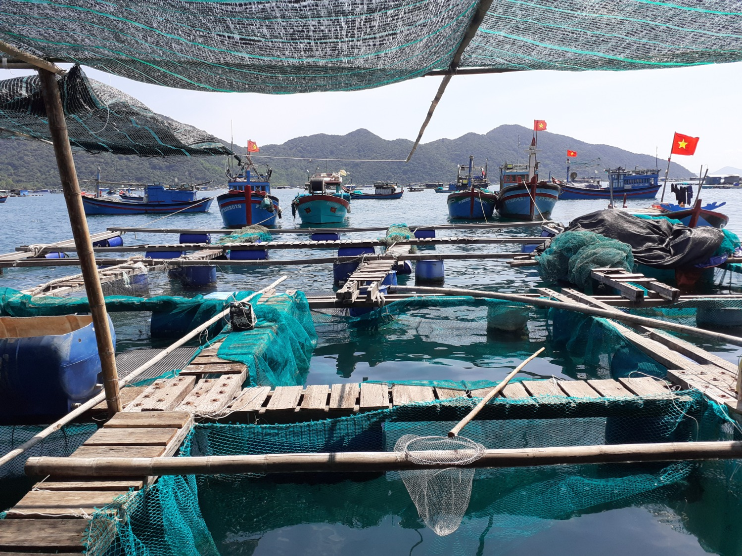 Владимира Шакиева. «Общественная электронная газета».