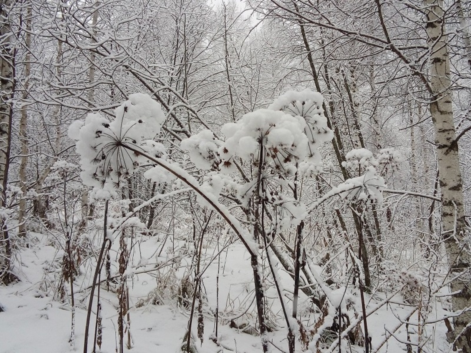 Фото Евгении Сюткиной.