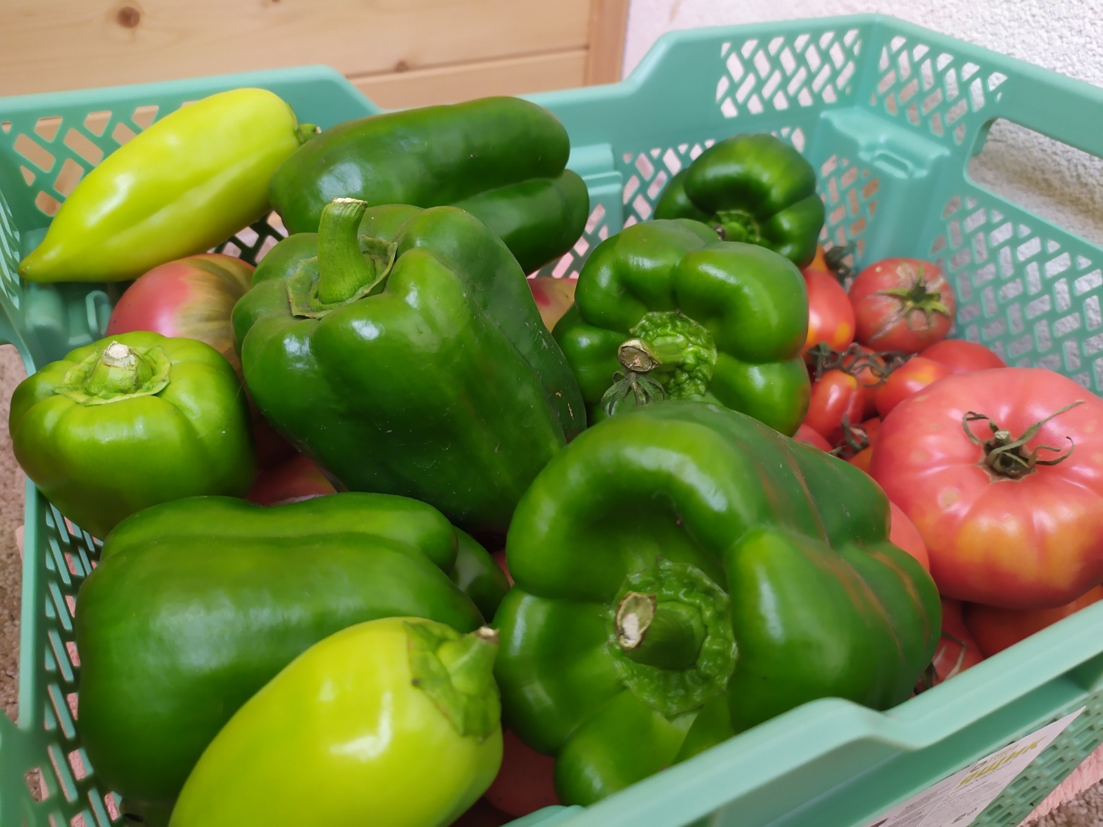 Васили Саитовой.