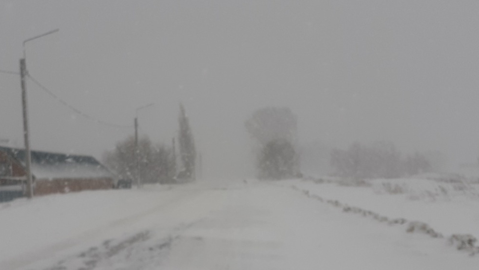 Владимира Шакиева.