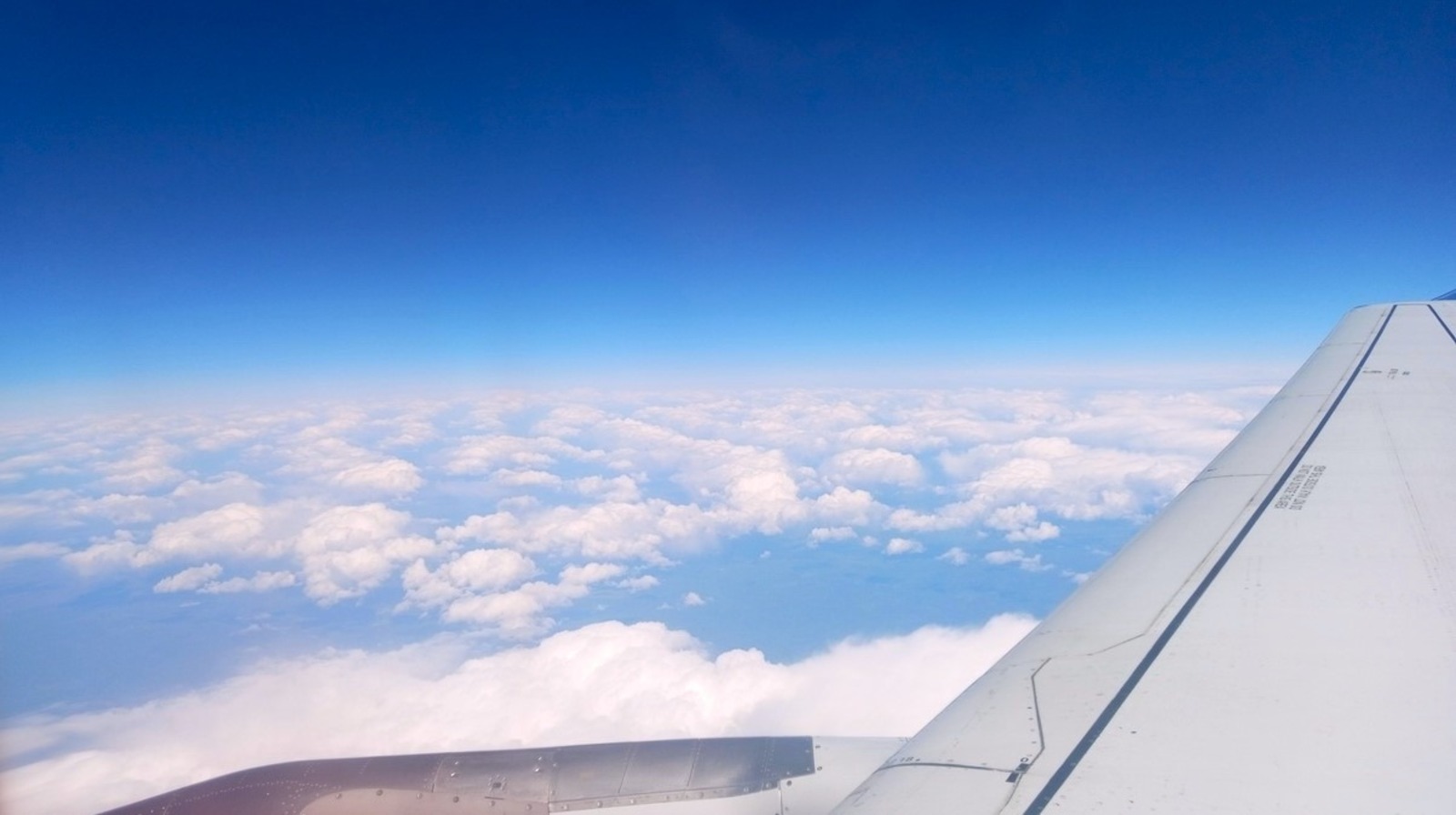 Евгении Сюткиной.