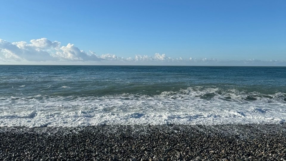 Елены Колоколовой. "Общественная электронная газета".