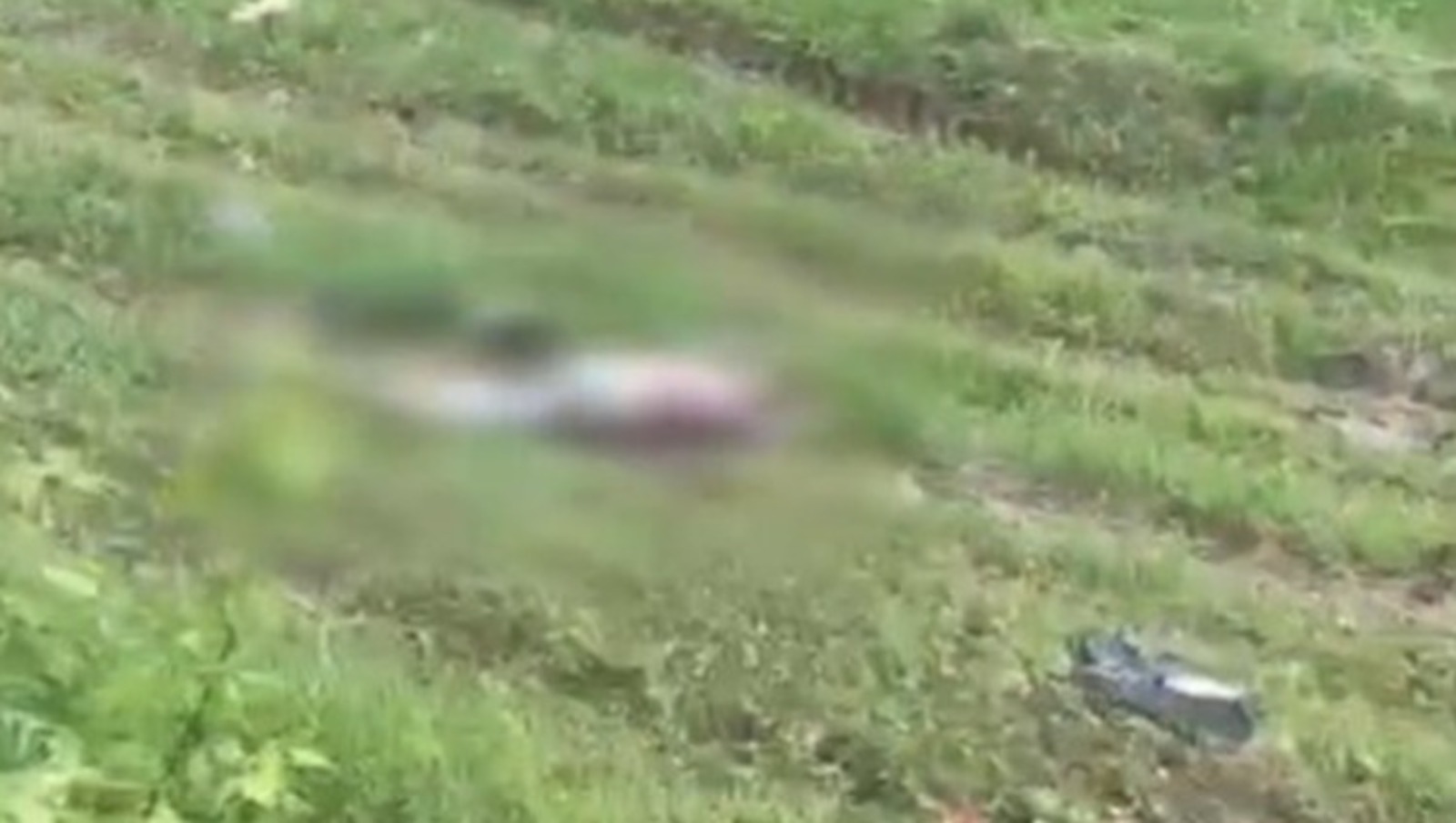 скриншот видео.