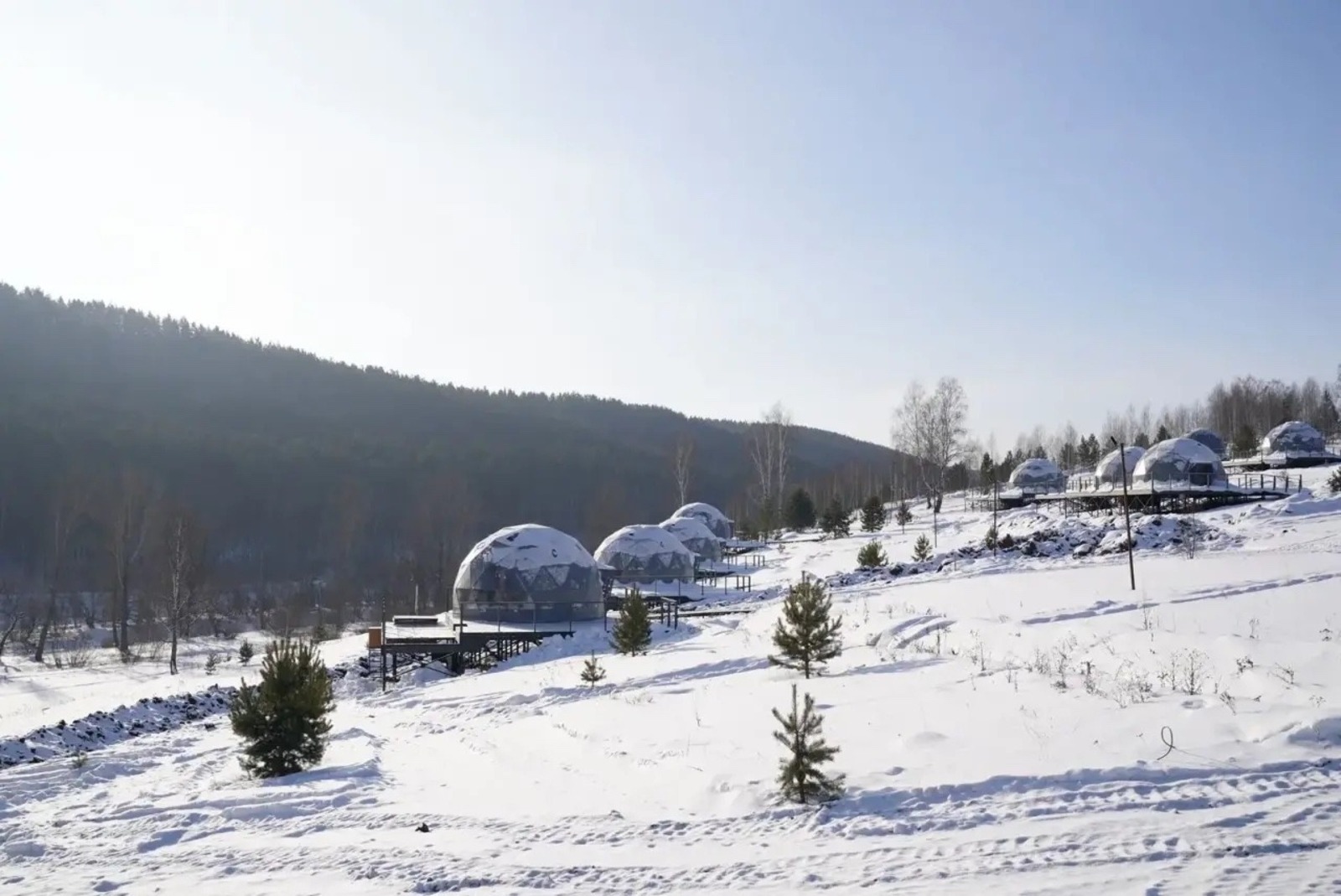 официальная страница Радия Хабирова. Vk.