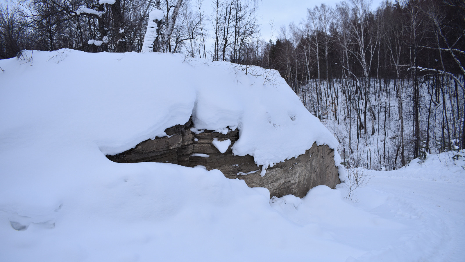 Елены Колоколовой.