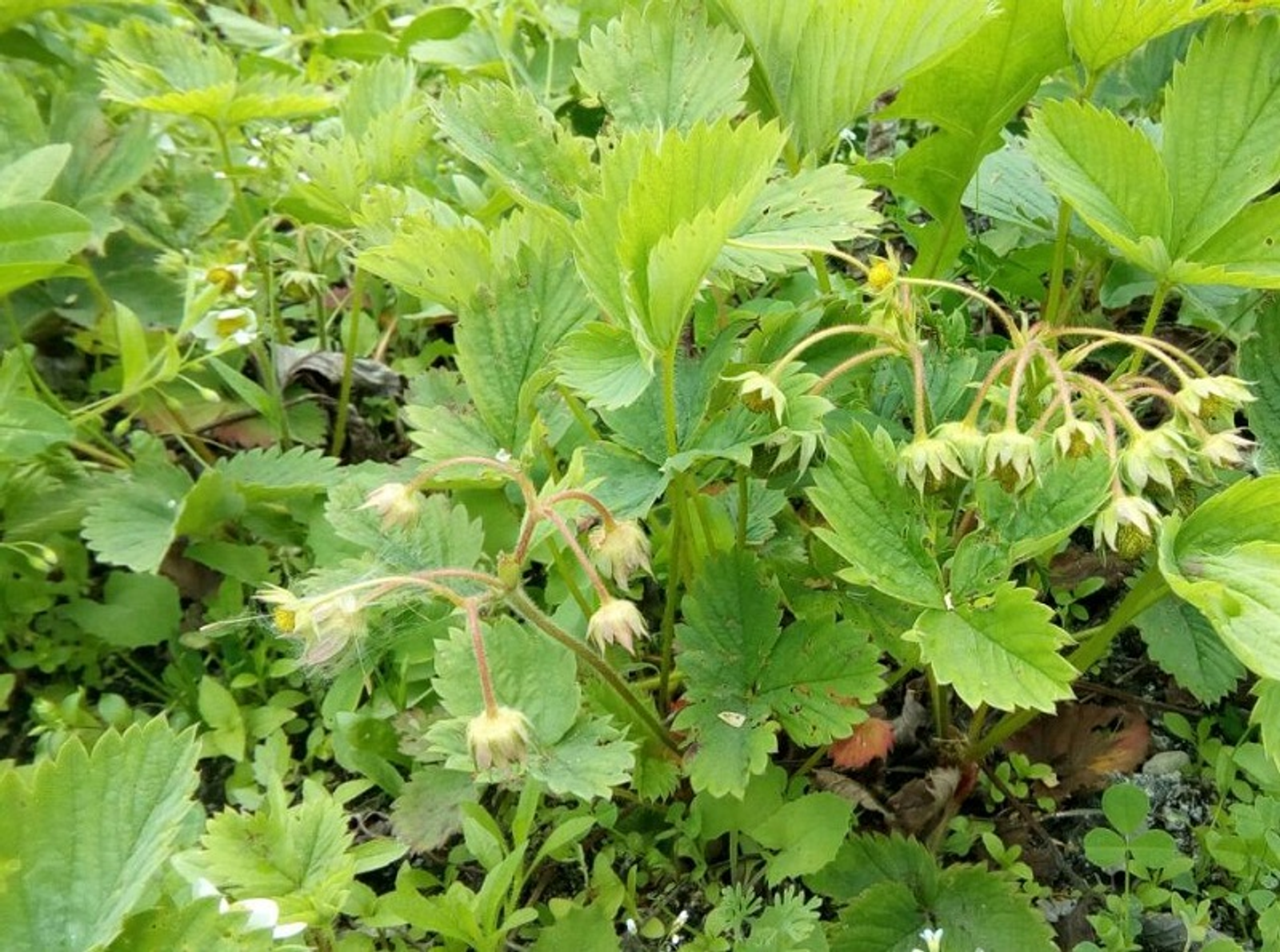 Фото Васили Саитовой.