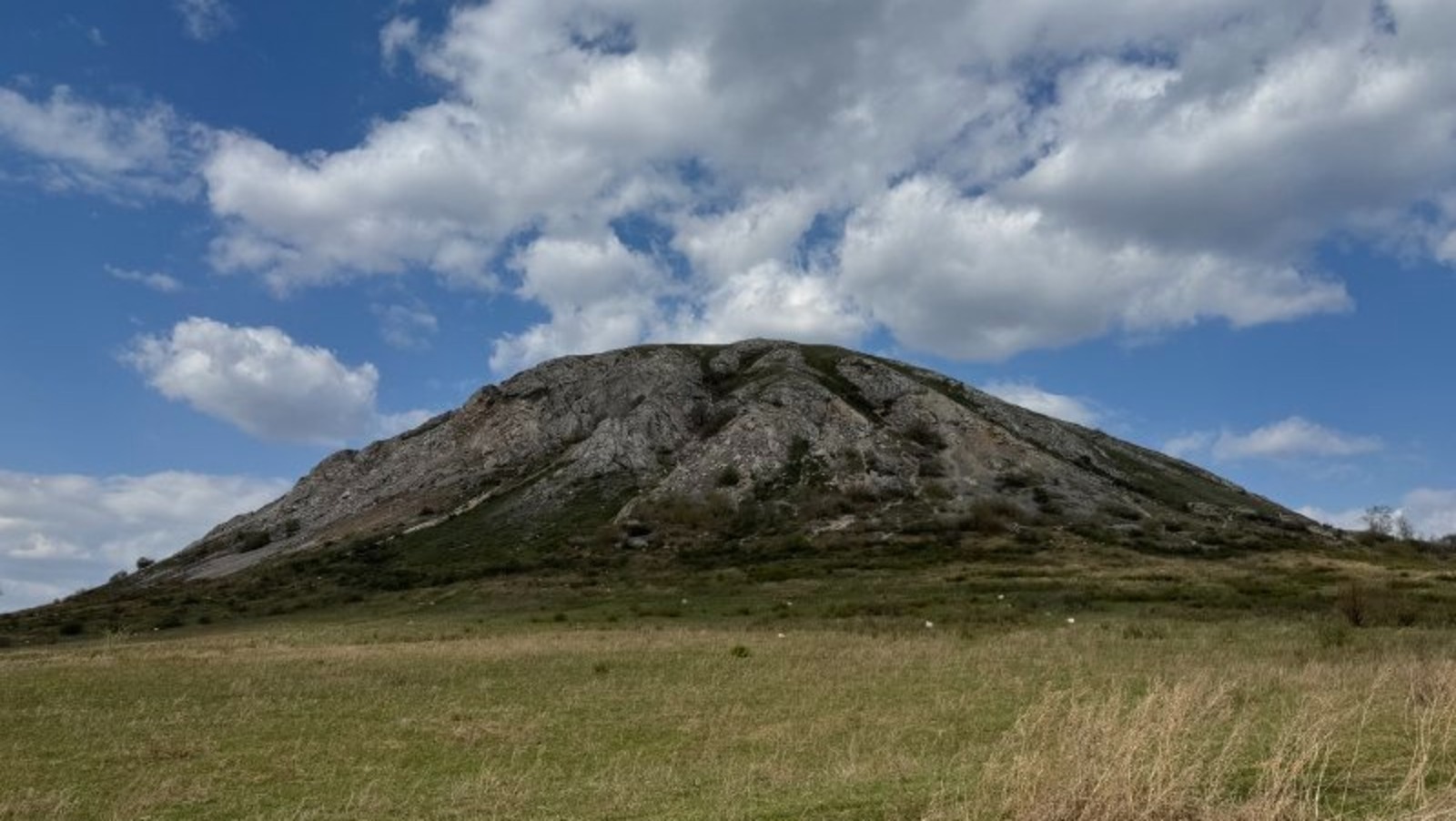 Елены Колоколовой.