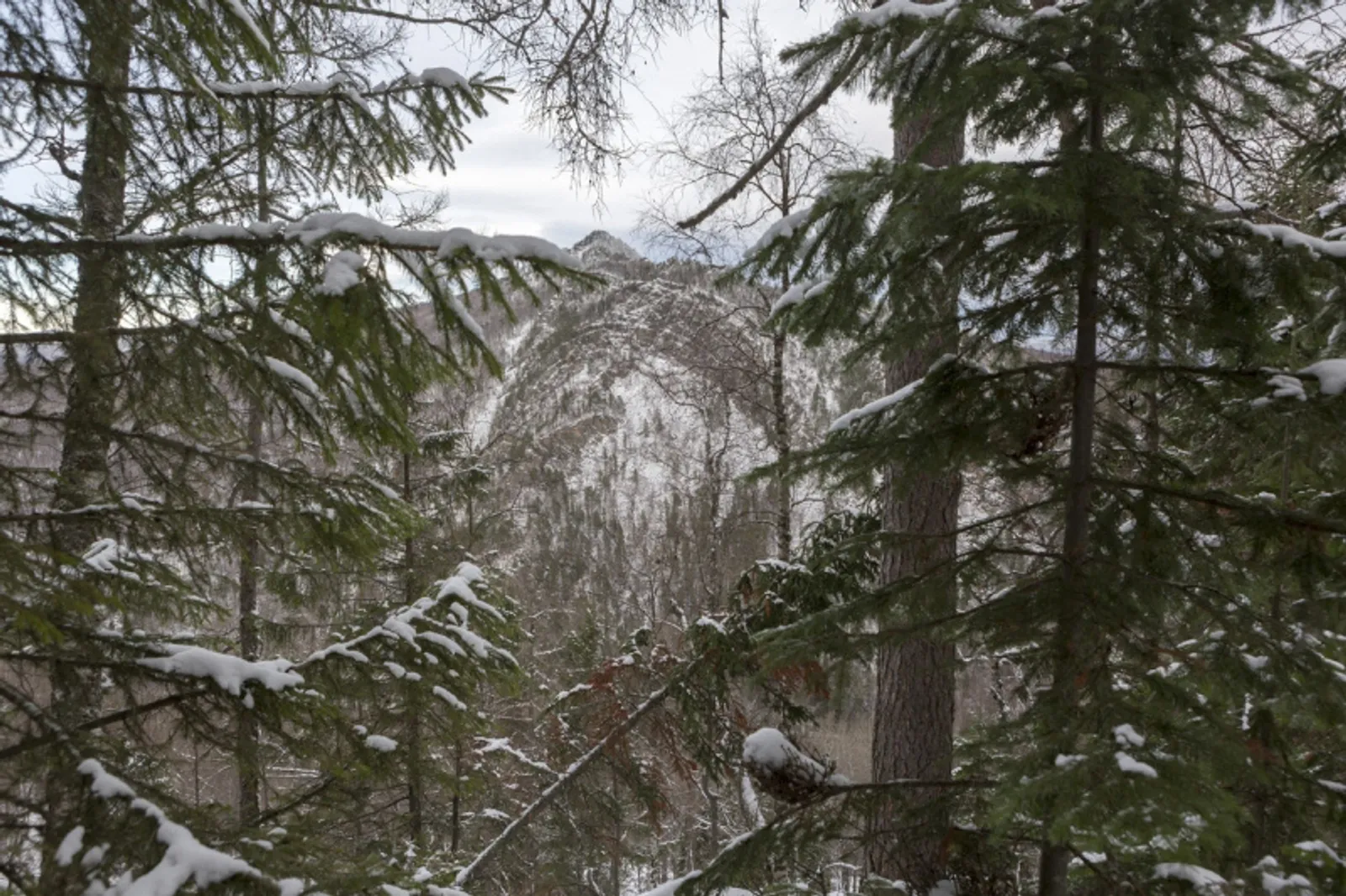 Фото Фаиля Абсатарова.
