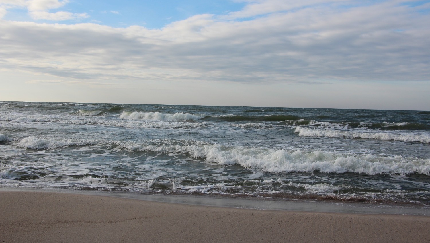 Елены Колоколовой. "Общественная электронная газета".