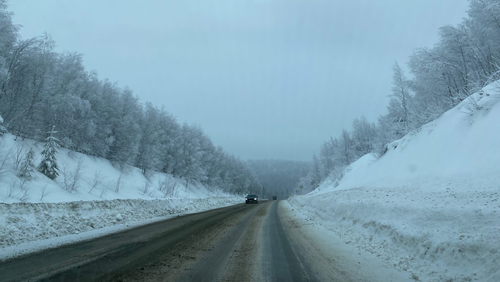Елены Колоколовой.