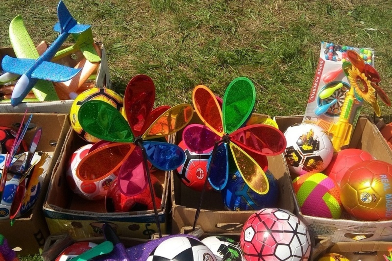 Фото автора.