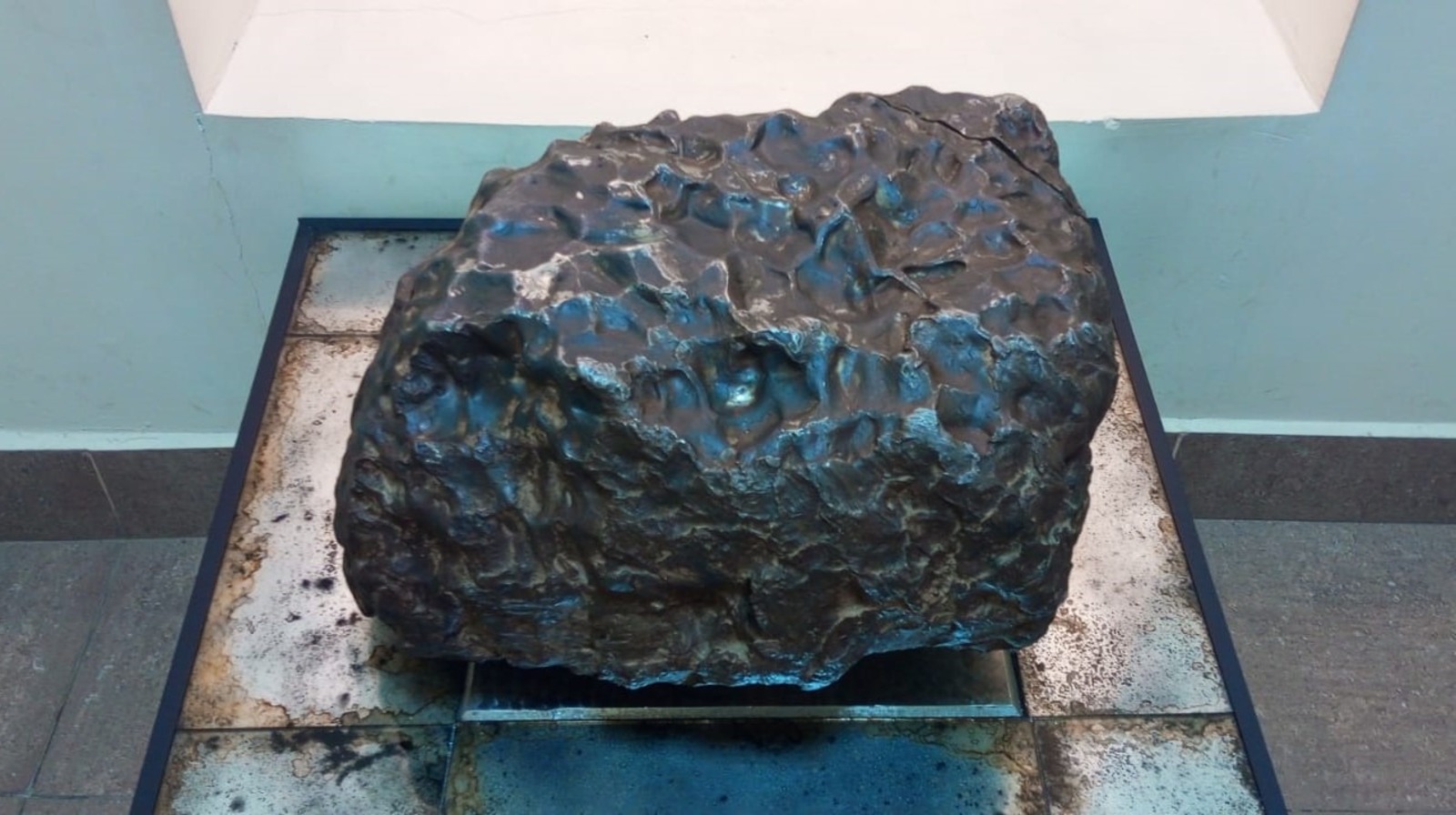 Евгении Сюткиной.