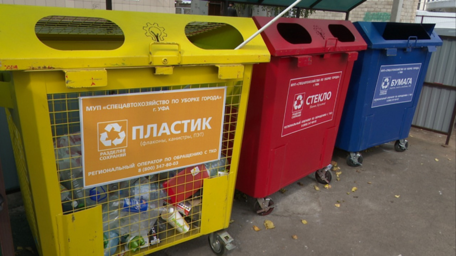 Фото: Vk, личная страница Радия Хабирова.