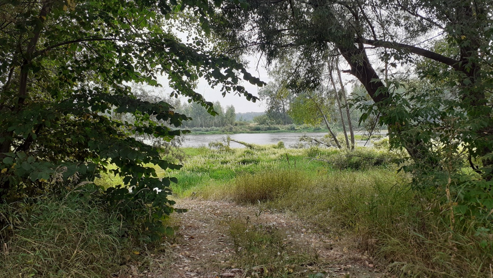 Владимира Шакиева.