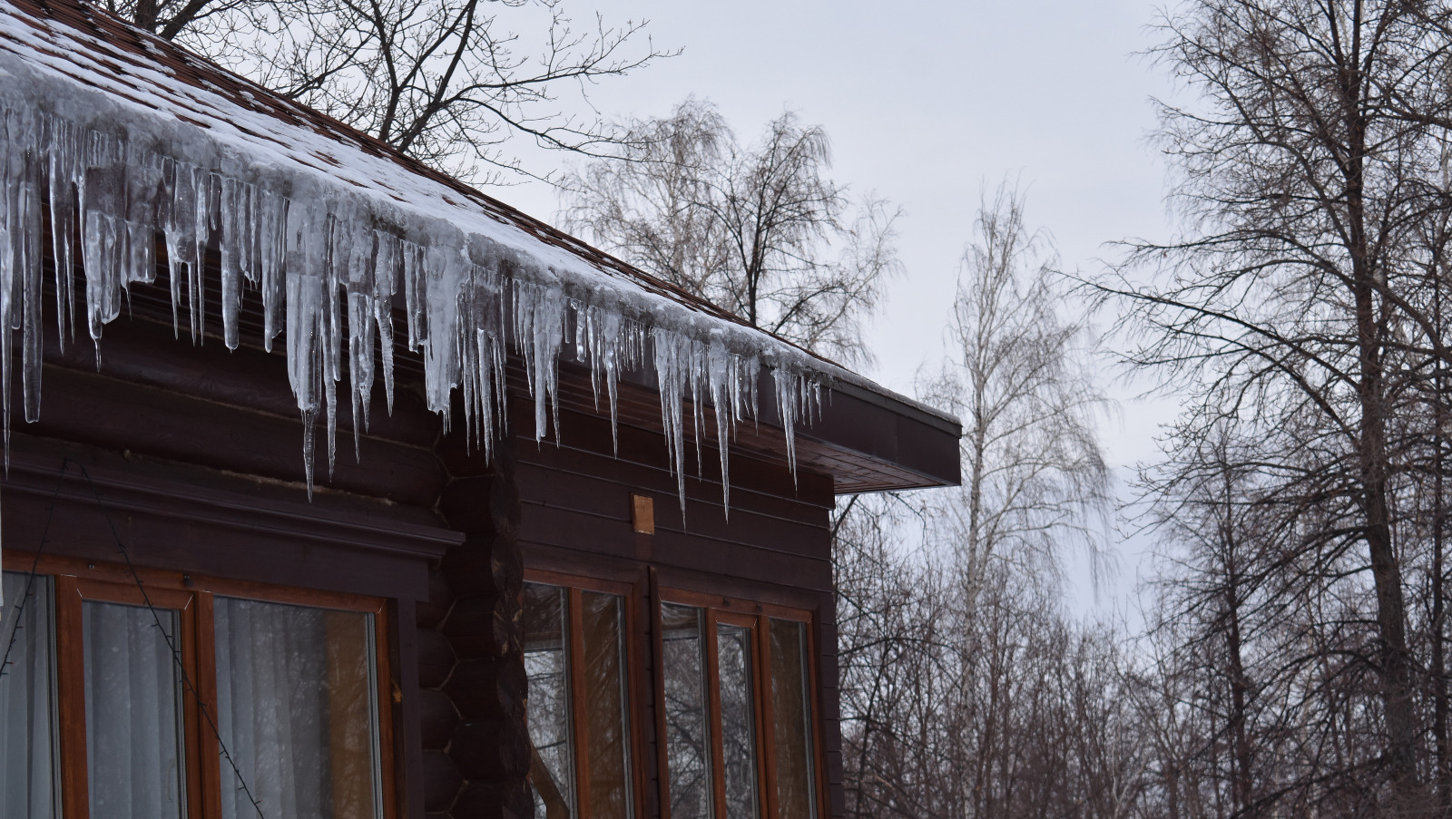 Елены Колоколовой.