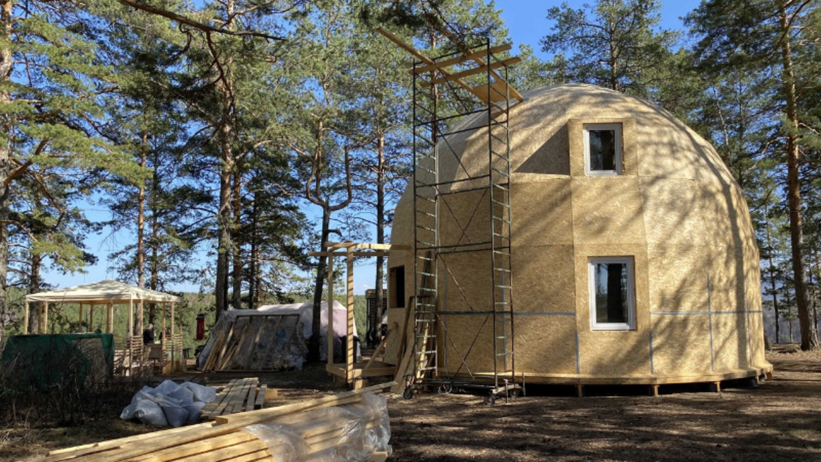 Елены Колоколовой.