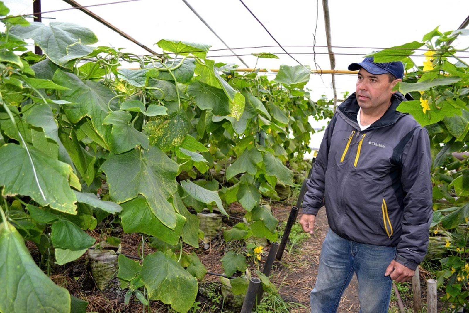 На фото: Ранис Фаткуллин. Фото автора.