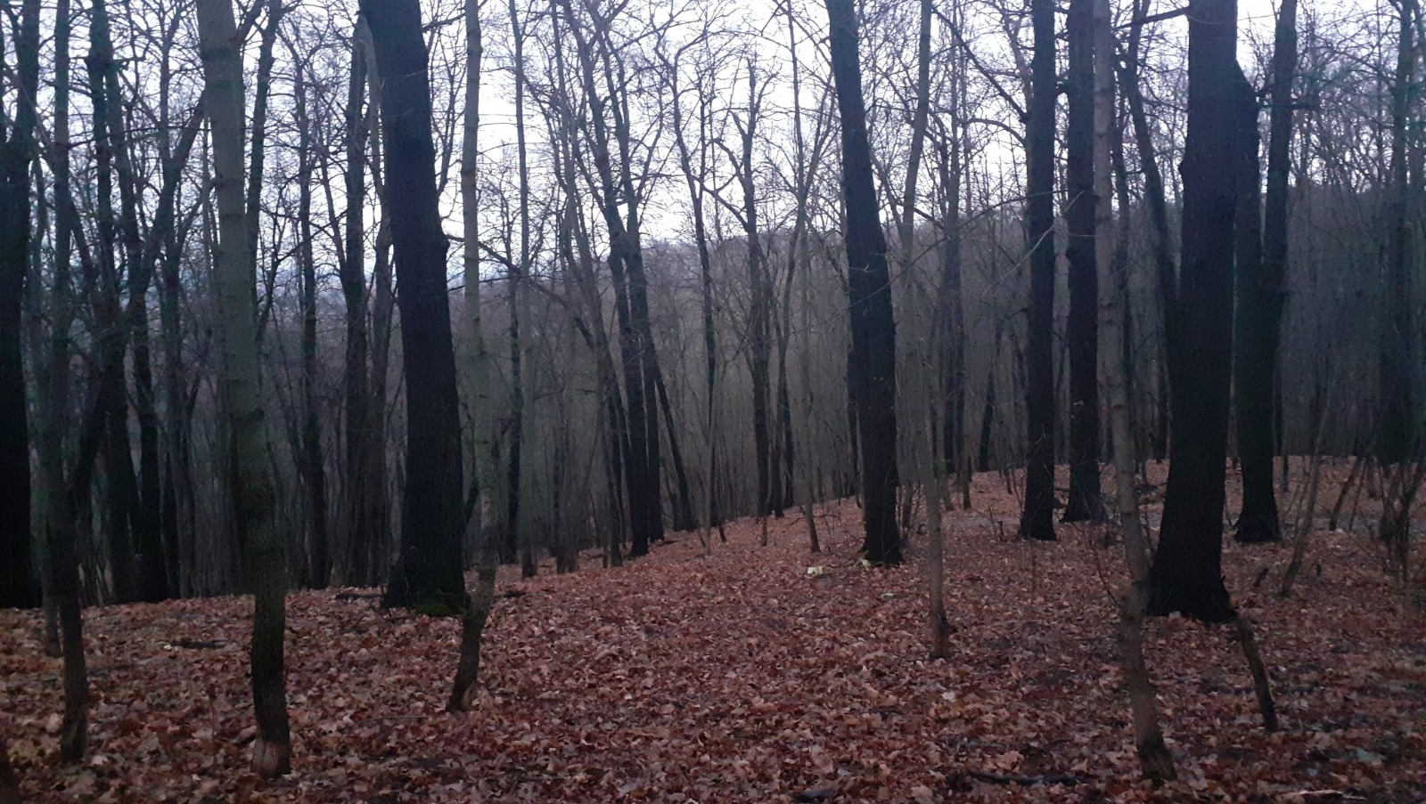 Владимира Шакиева. «Общественная электронная газета».