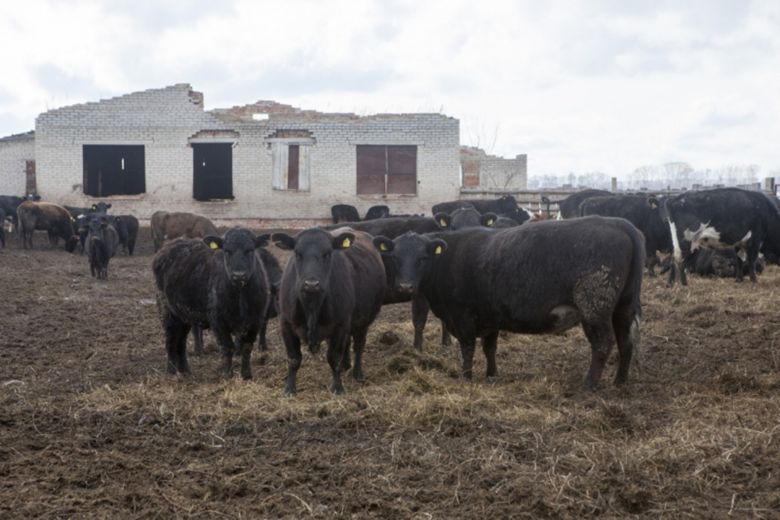 Фото Евгении Сюткиной.