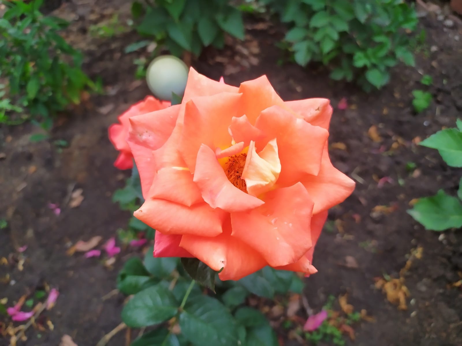 Васили Саитовой.